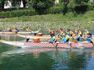 端午节赛龙舟活动在卢布尔雅那举行